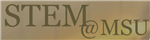 Stem@MSU 